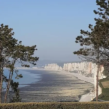 別荘 Yport, Maison De Pecheur Avec Jolie Terrasse. *