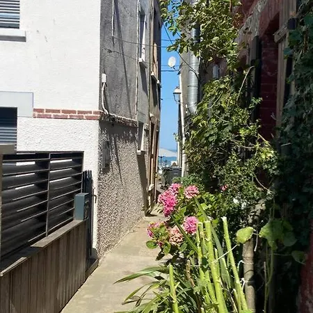 Yport, Maison De Pecheur Avec Jolie Terrasse. Holiday home *