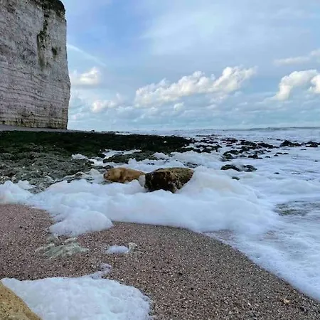 Yport, Maison De Pecheur Avec Jolie Terrasse. Holiday home *